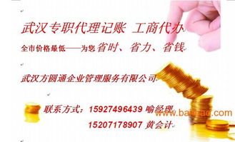 湖北一流的工商代辦與稅務(wù)代理服務(wù) 江岸區(qū)企業(yè)發(fā)展的專(zhuān)業(yè)伙伴